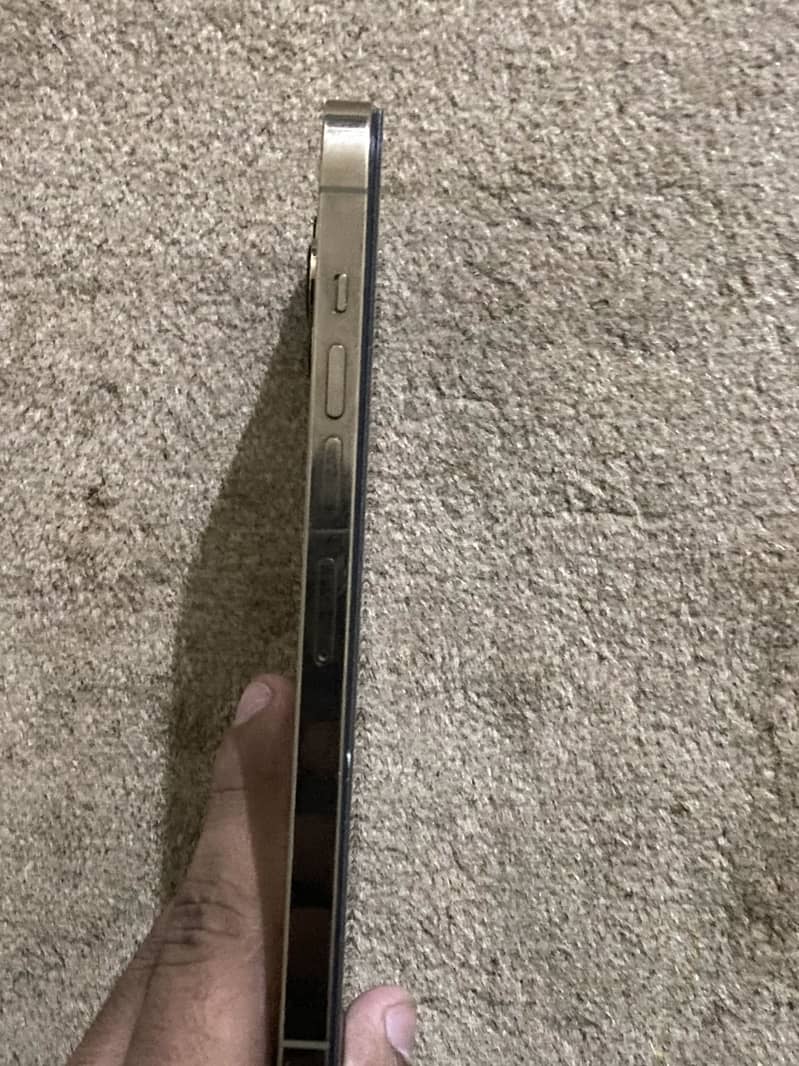 Apple iPhone 13 Pro Max 8