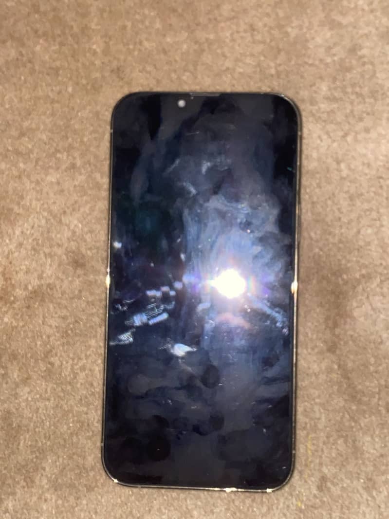 Apple iPhone 13 Pro Max 10
