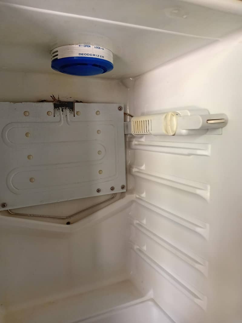 frige 1