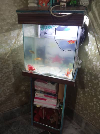 Fish Aquarium With Table
