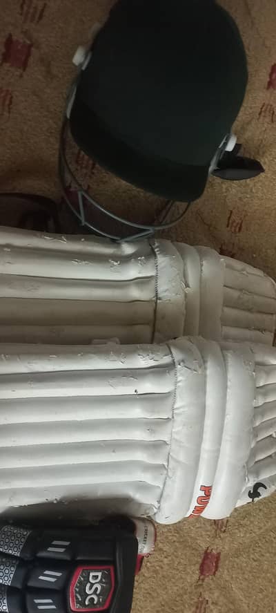 cricket helmet with free gloves and pads