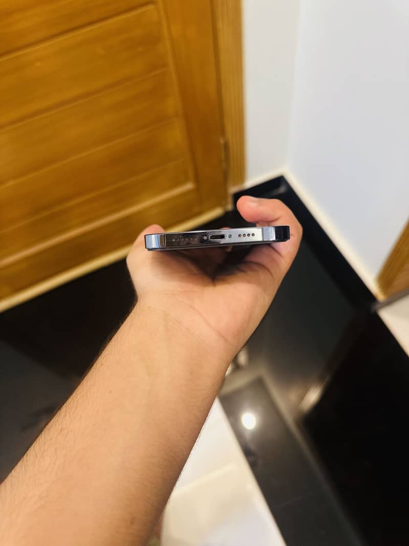 Apple iPhone 13 Pro Max 1