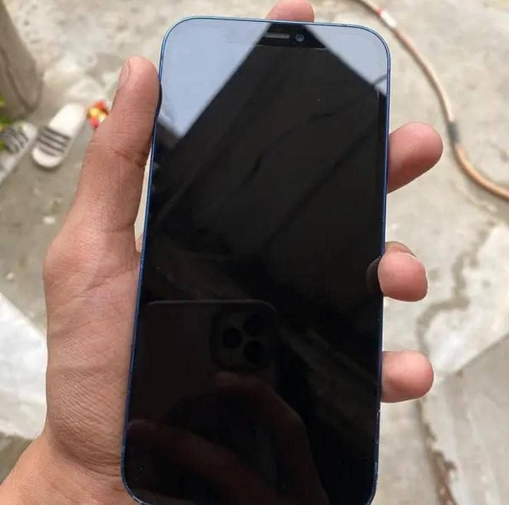 Apple iPhone 12 1