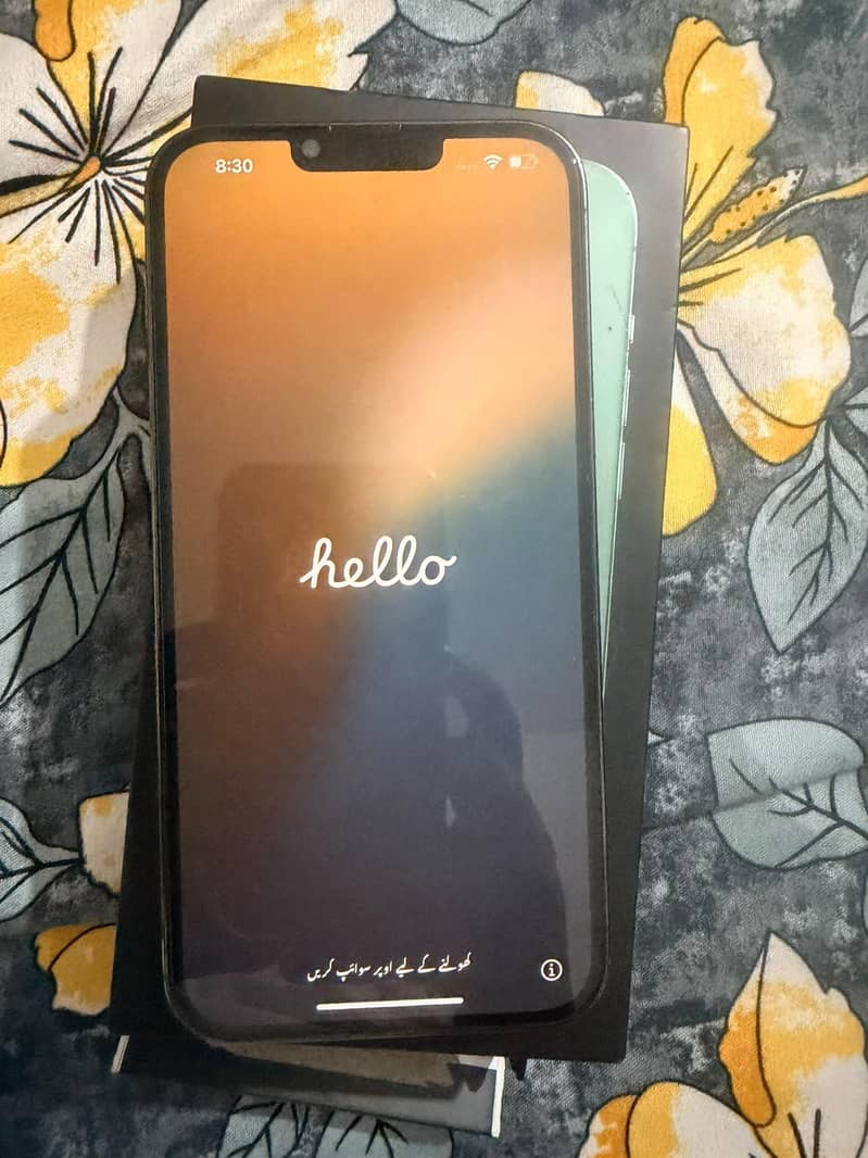 Apple iPhone 13 Pro Max 1