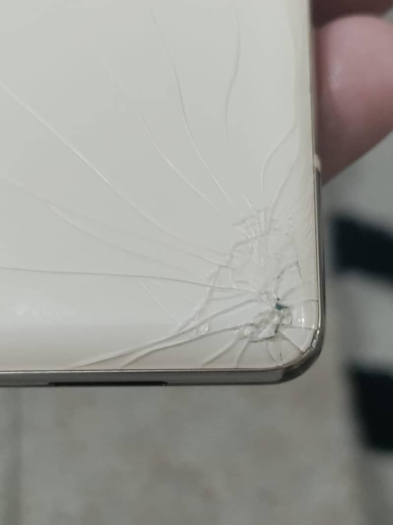 Google Pixel 6 Pro 1