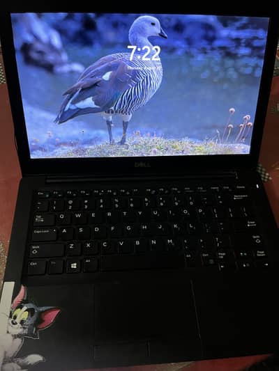 Core i7 8 generation dell laptop for sell