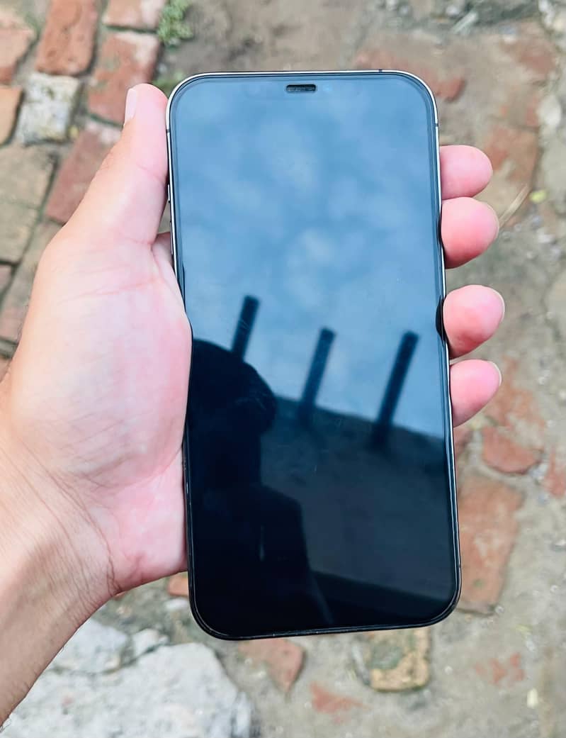 Apple iPhone 12 Pro Max 1