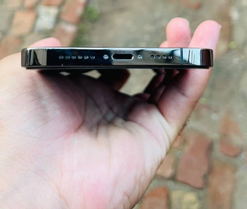 Apple iPhone 12 Pro Max 2