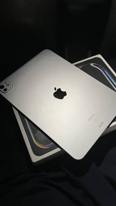 Ipad m4 256gb