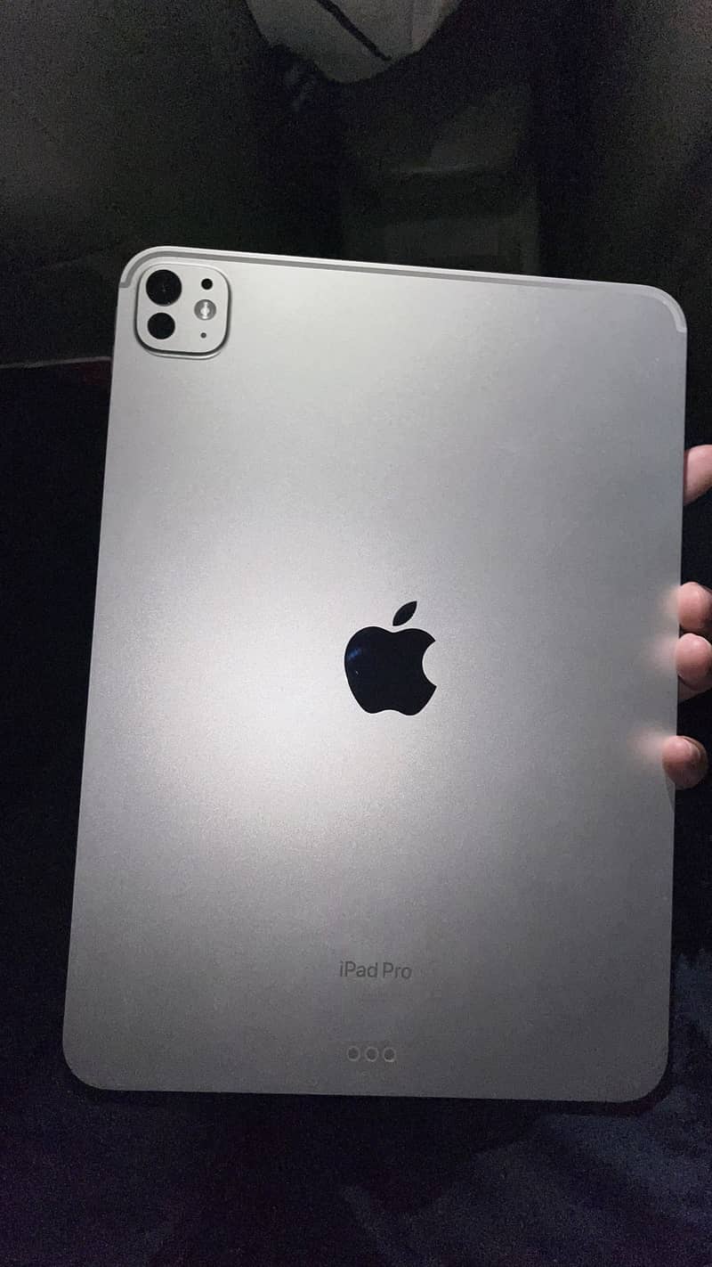 Ipad m4 256gb 4