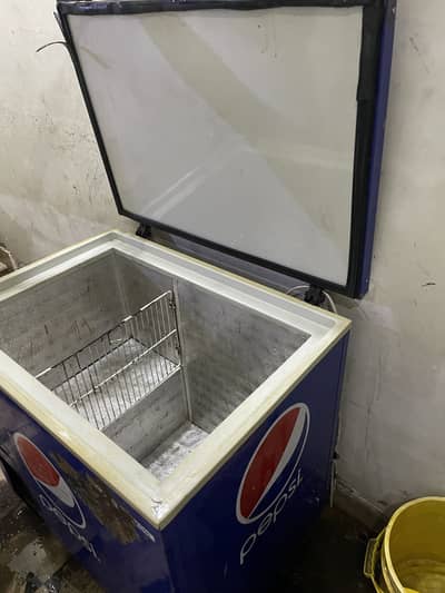 Freezer papsi mini