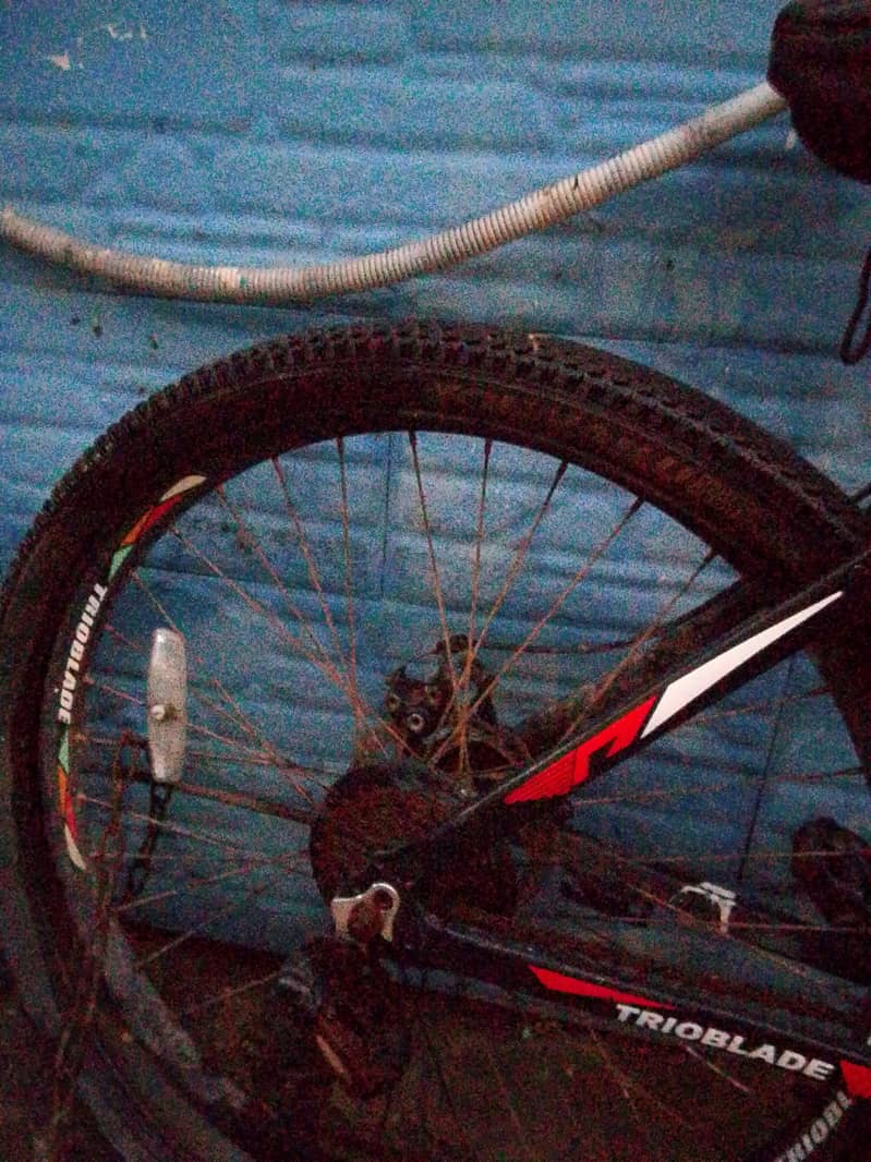 bicycle 2