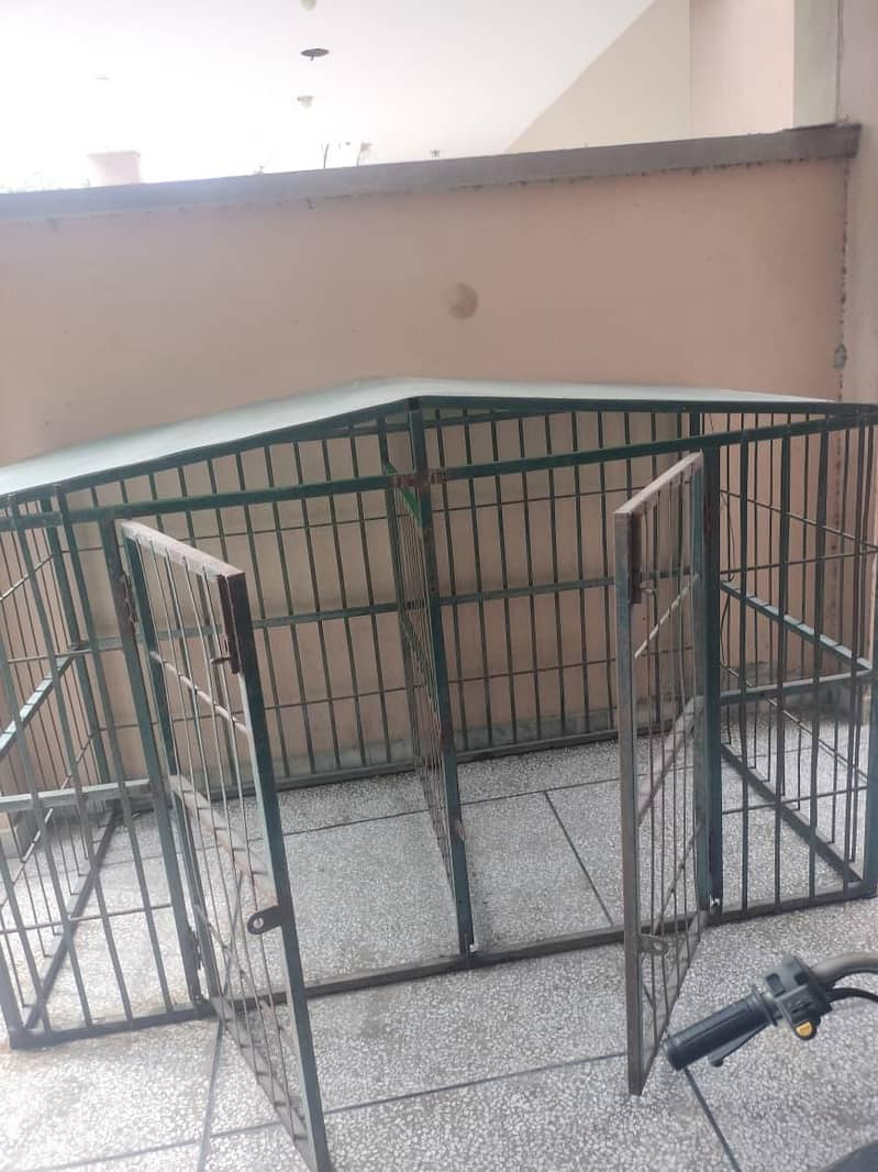 big cage 1