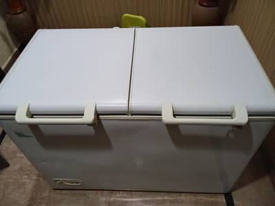 Singer deep freezer dual
