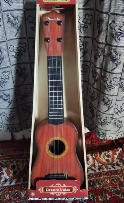 Acoustic Guitar