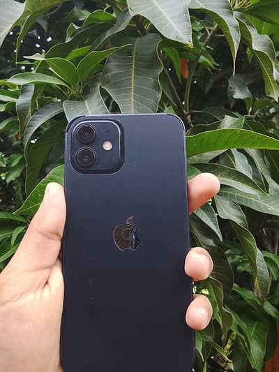 Apple iPhone 12 jv