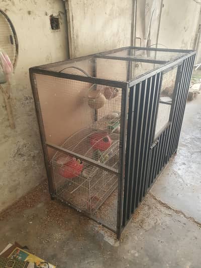 Iron Cage