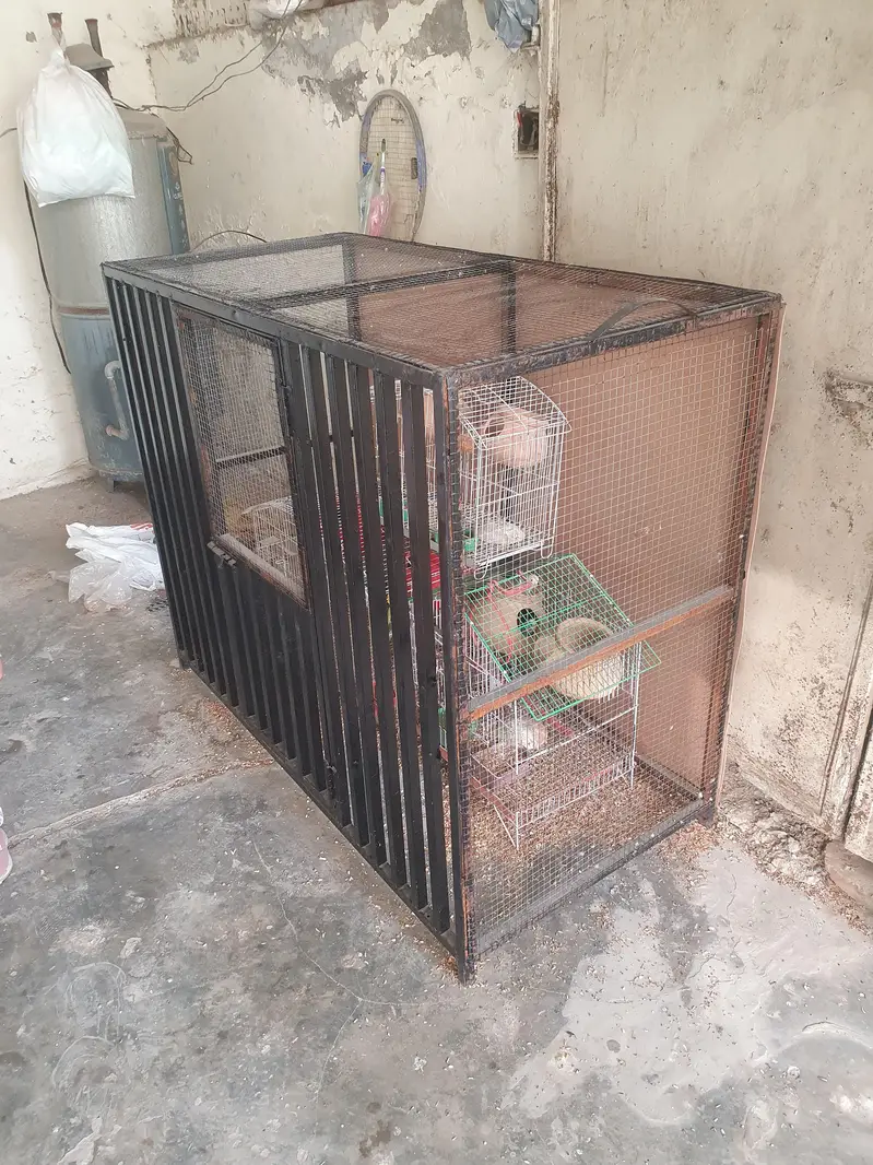 Iron Cage — photo 5