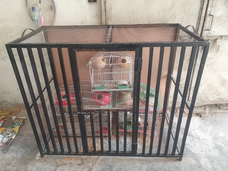 Iron Cage — photo 6
