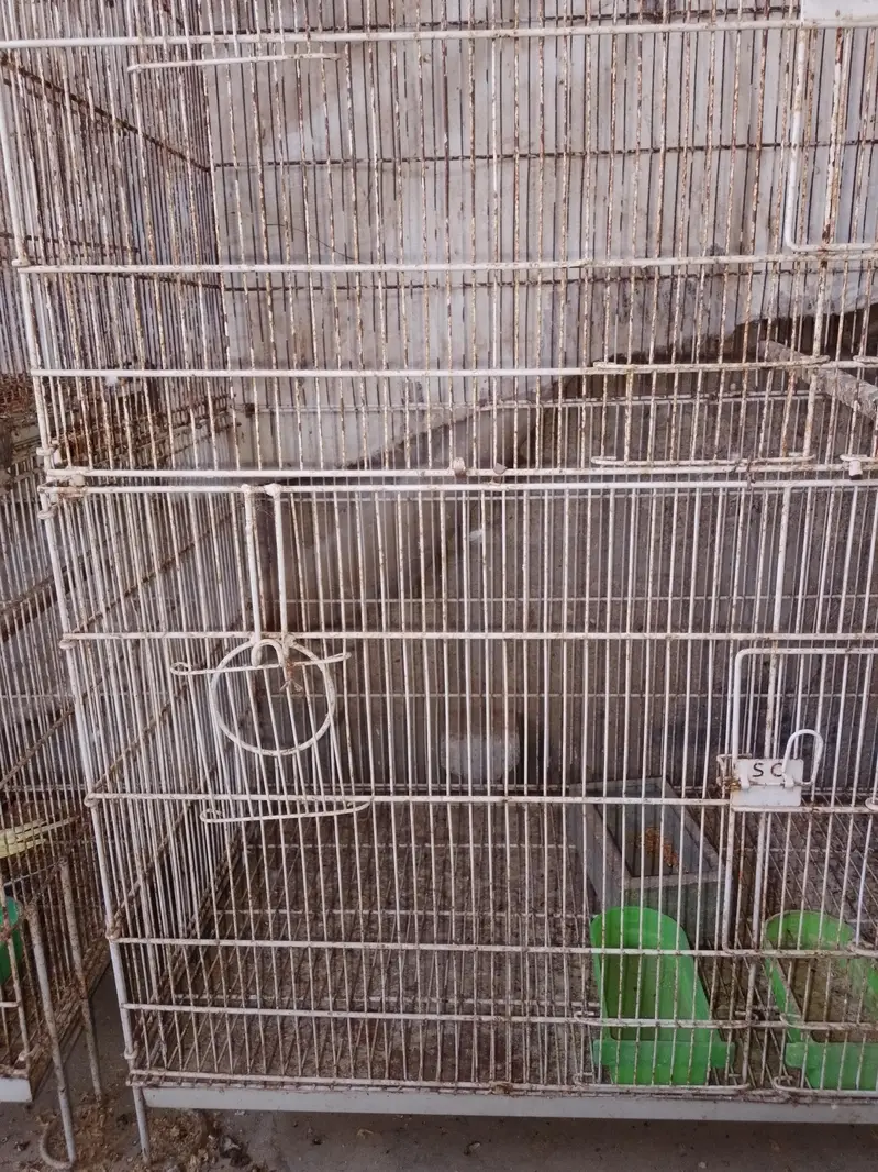cage sale — photo 2