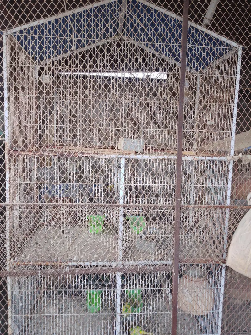 cage sale — photo 3