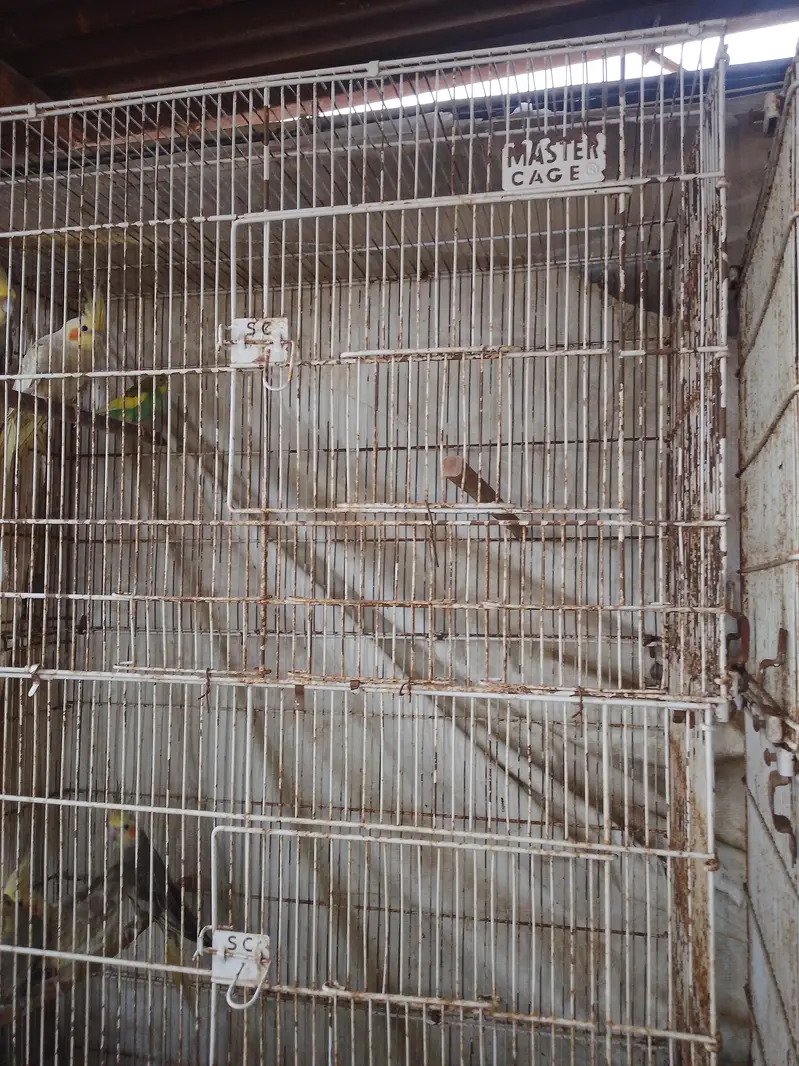 cage sale — photo 4