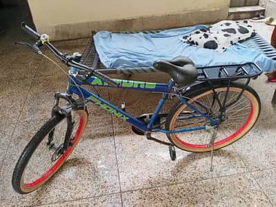 Full Size Cycle – Almost New (3 Months Used)