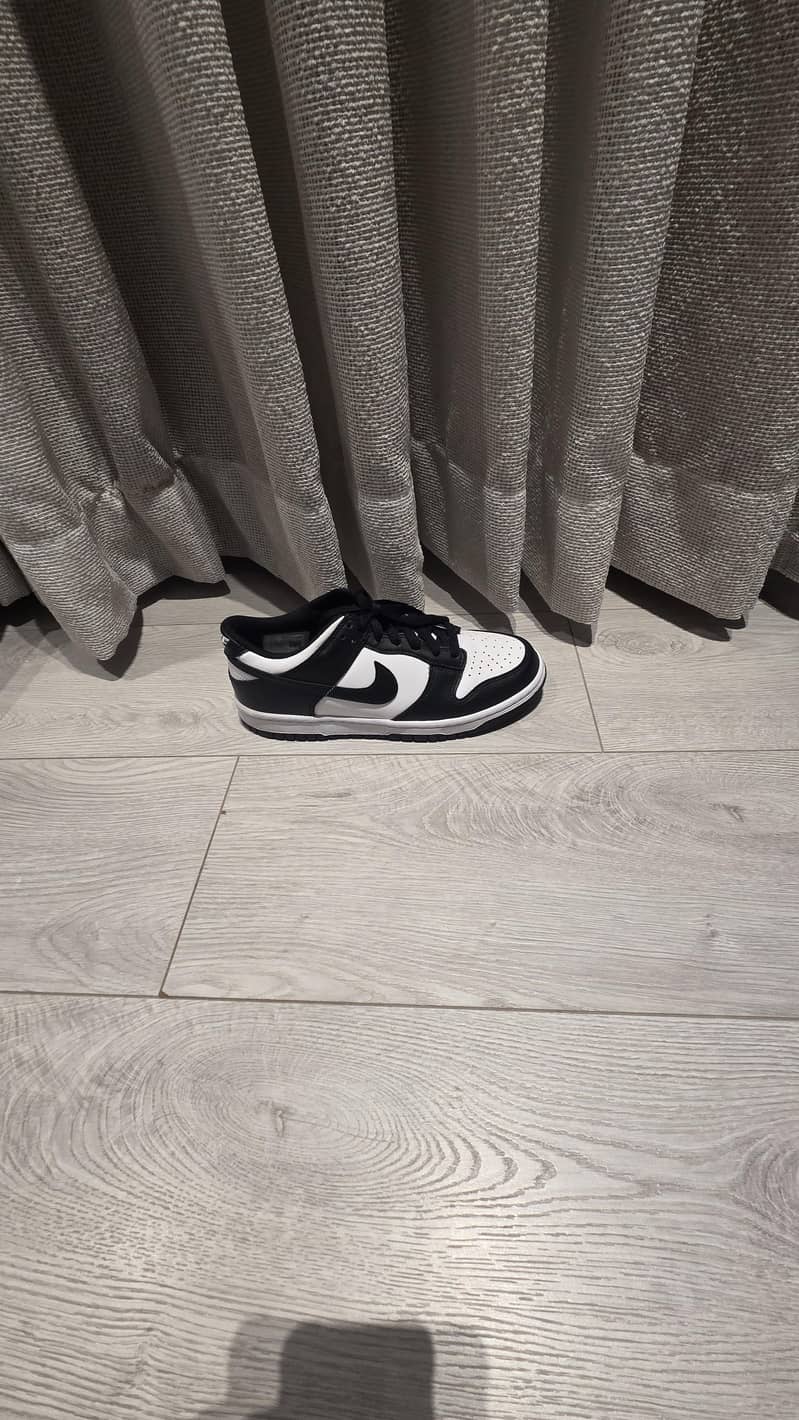 nike dunks 0