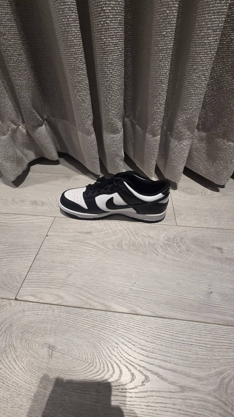 nike dunks 1
