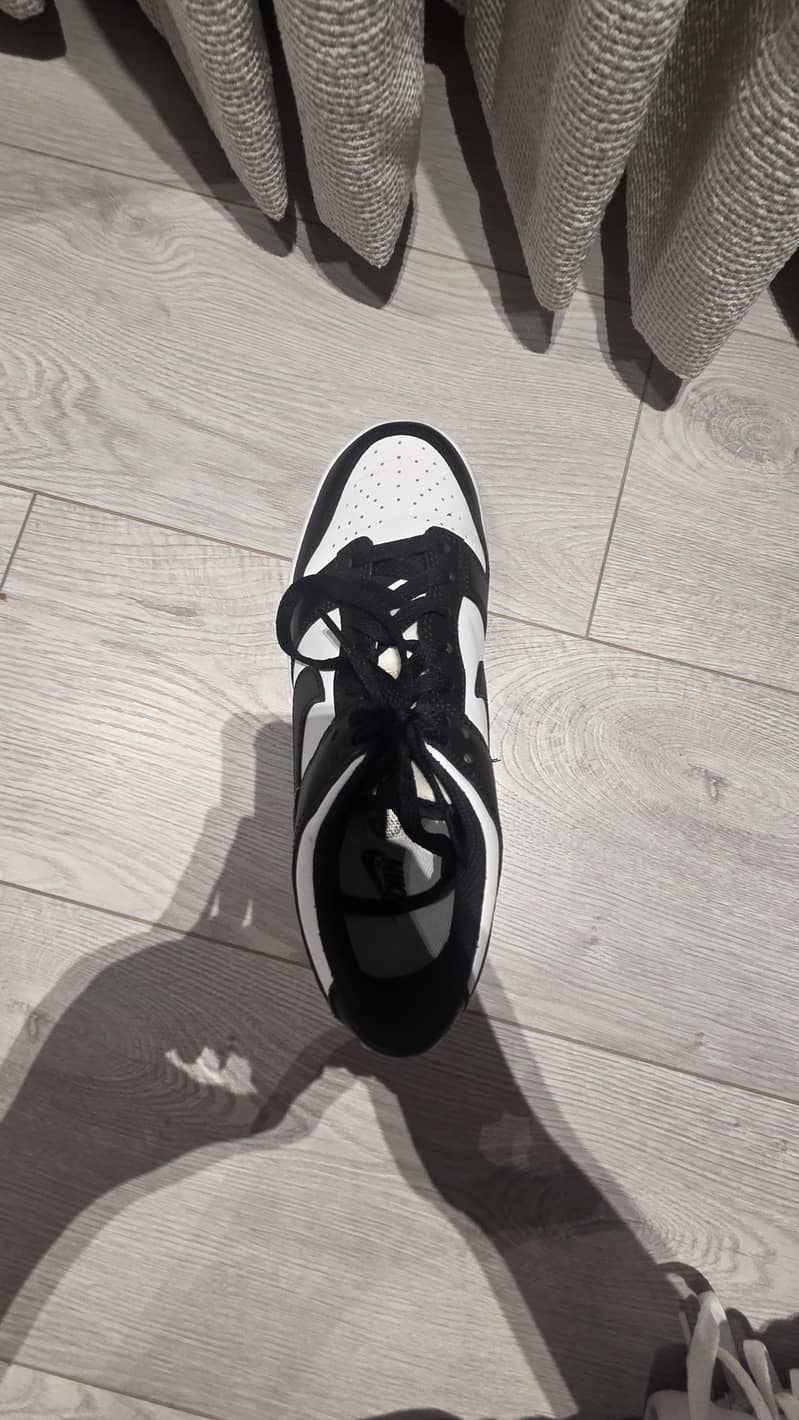 nike dunks 5