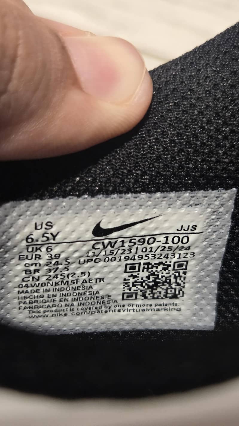 nike dunks 6