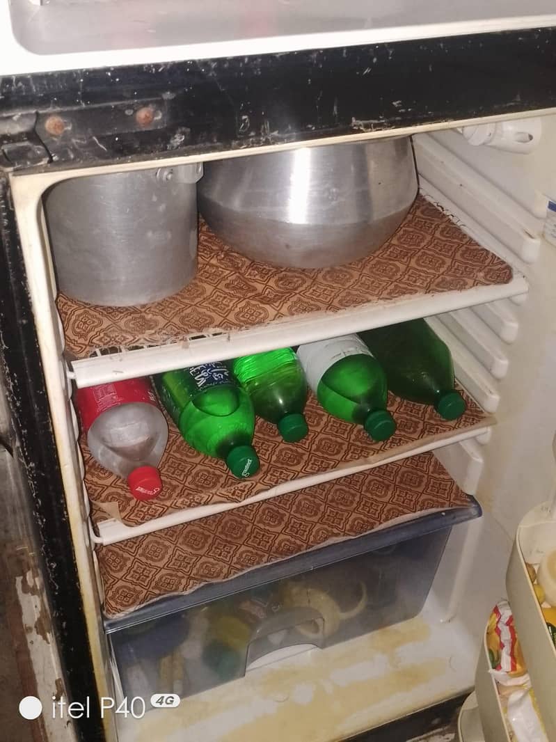 orient fridge 2