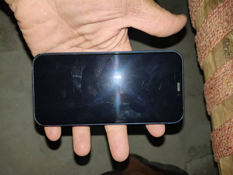 Apple iPhone 12 1