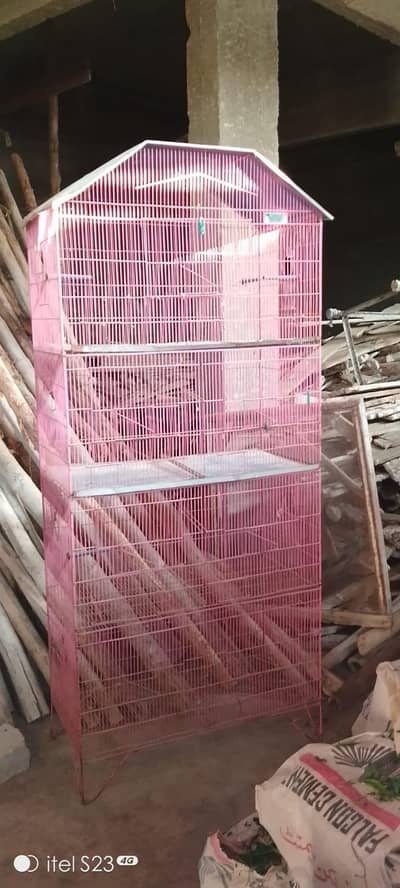 Birds Cage
