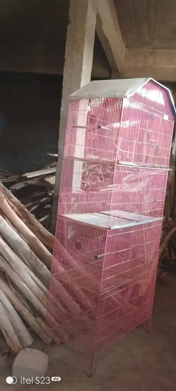 Birds Cage — photo 3