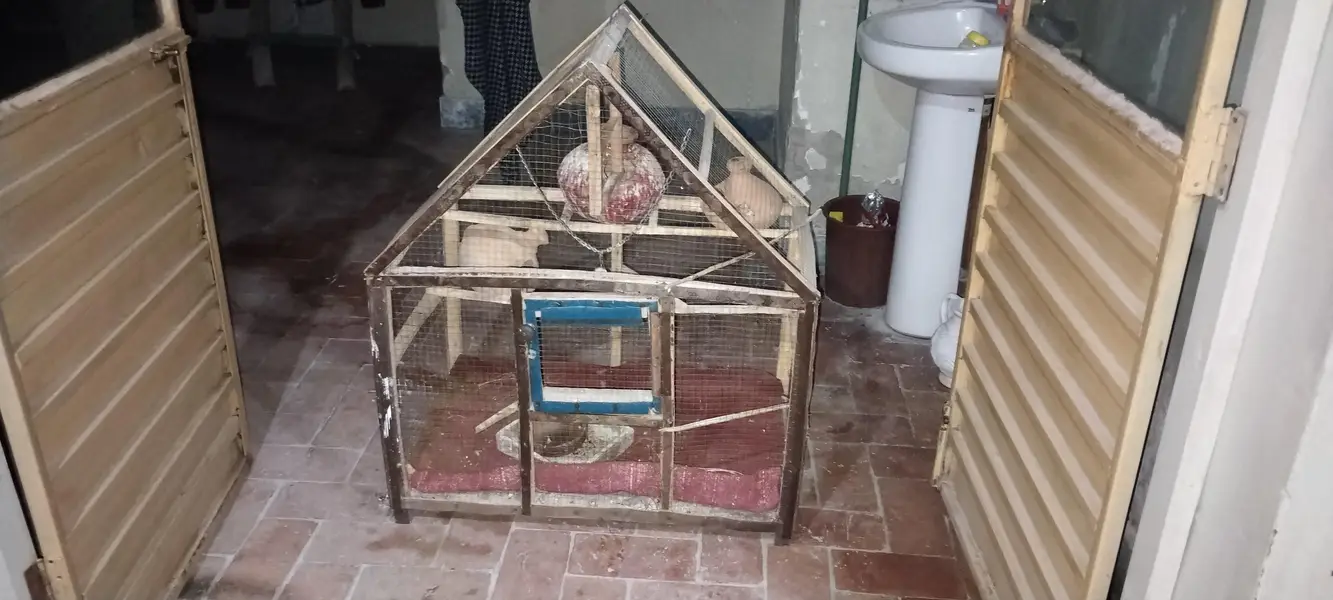 love Birds cage For Sale — photo 3