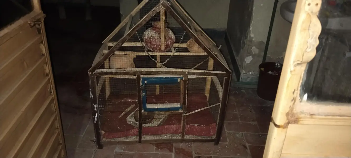 love Birds cage For Sale — photo 4