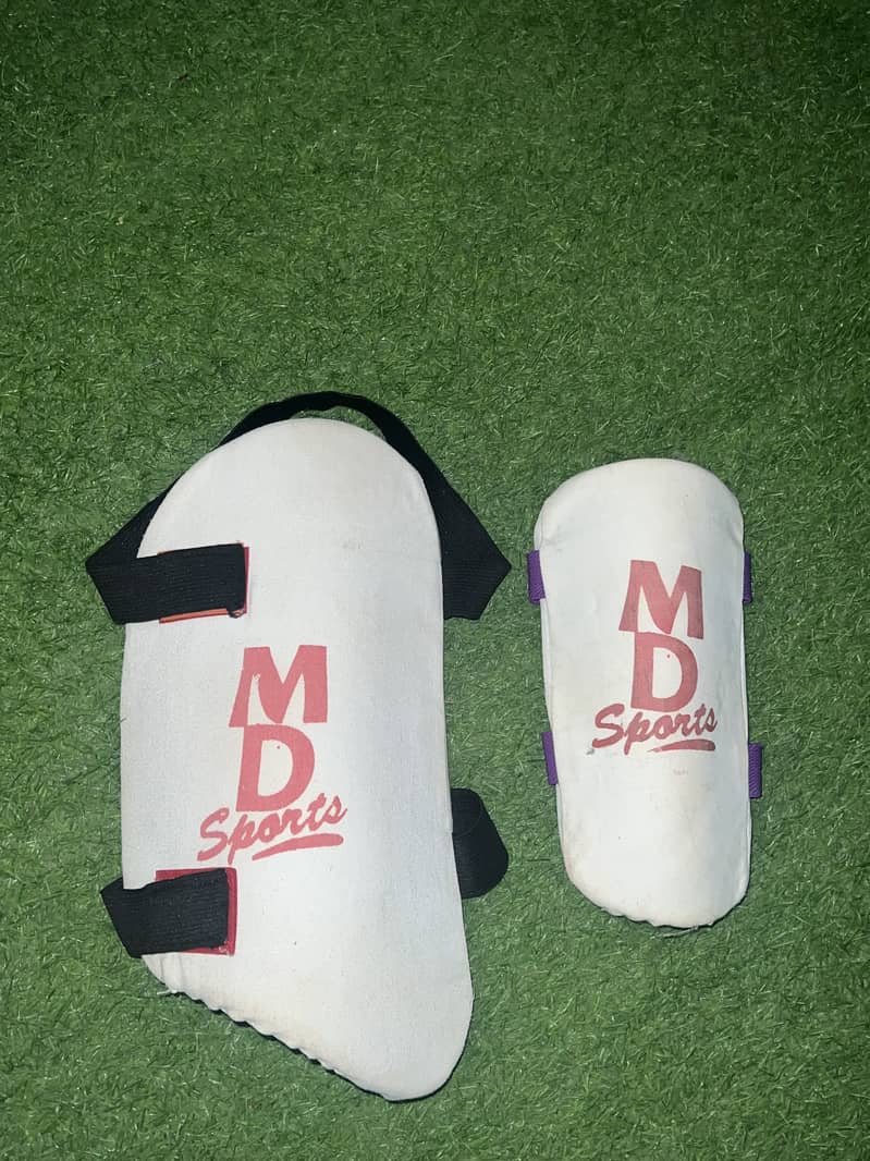 Cricket kit 1