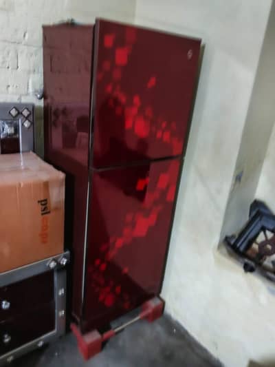 PeL medium size Farigh