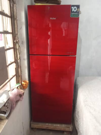 new freezer ha