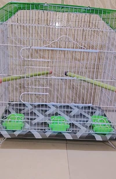 Urgent sell Large Cage with bird