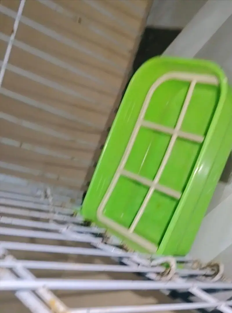 Urgent sell Large Cage with bird — photo 5