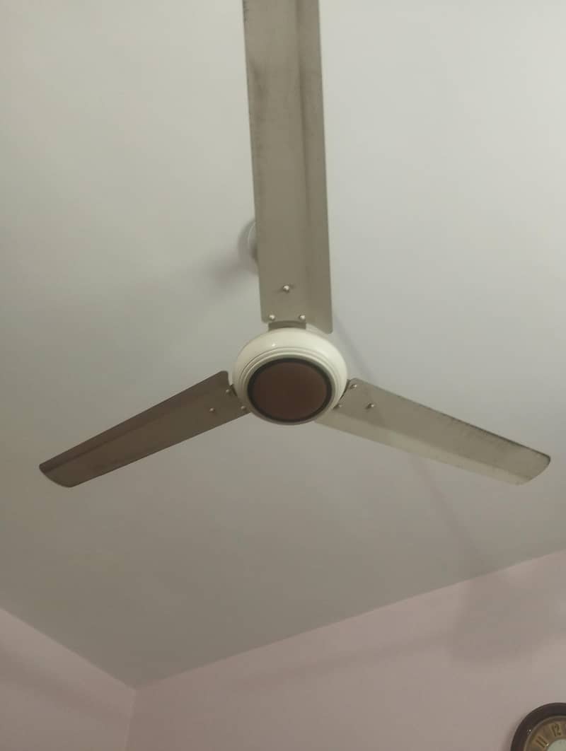 ceiling fan 1