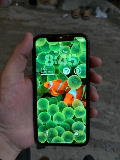 Apple iPhone 11