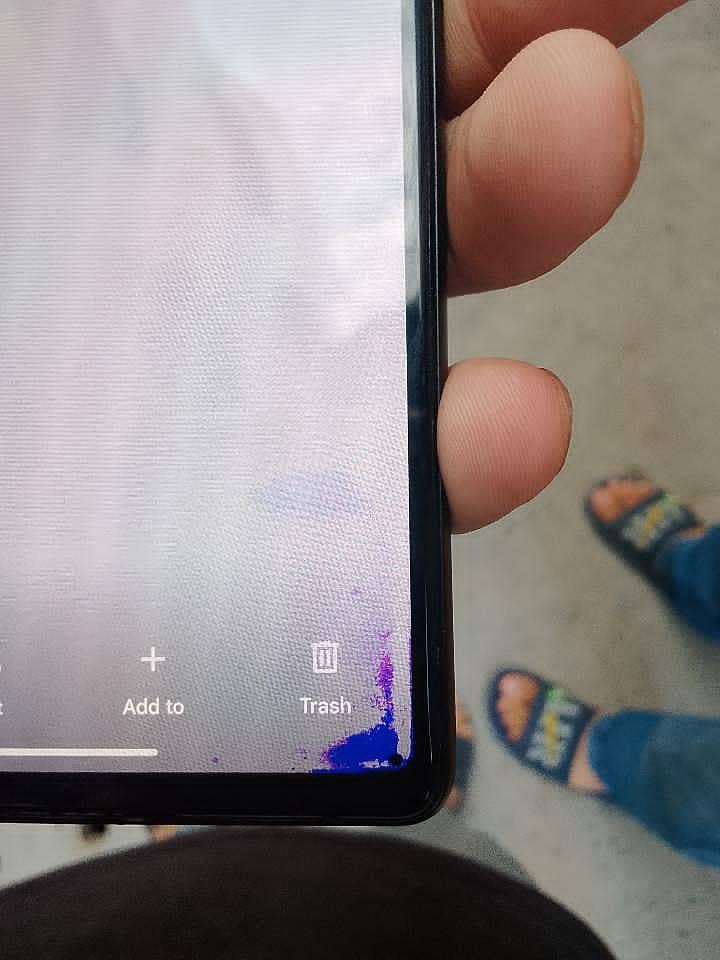 Google Pixel 6 5