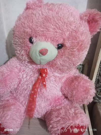 tatibear for sell