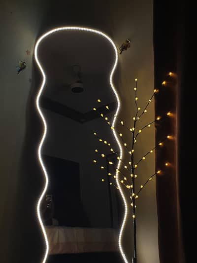 Long Mirror