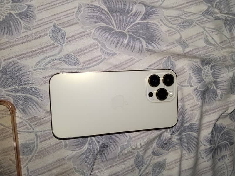 Apple iPhone 14 Pro Max 1
