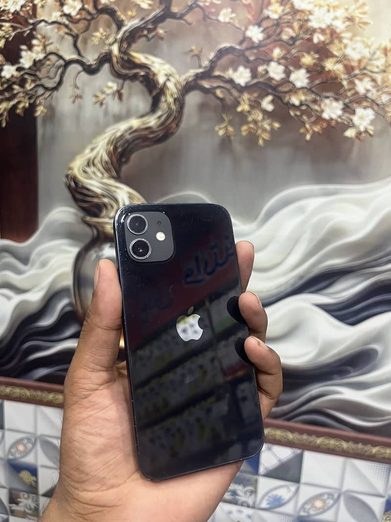 Apple iPhone 12 1