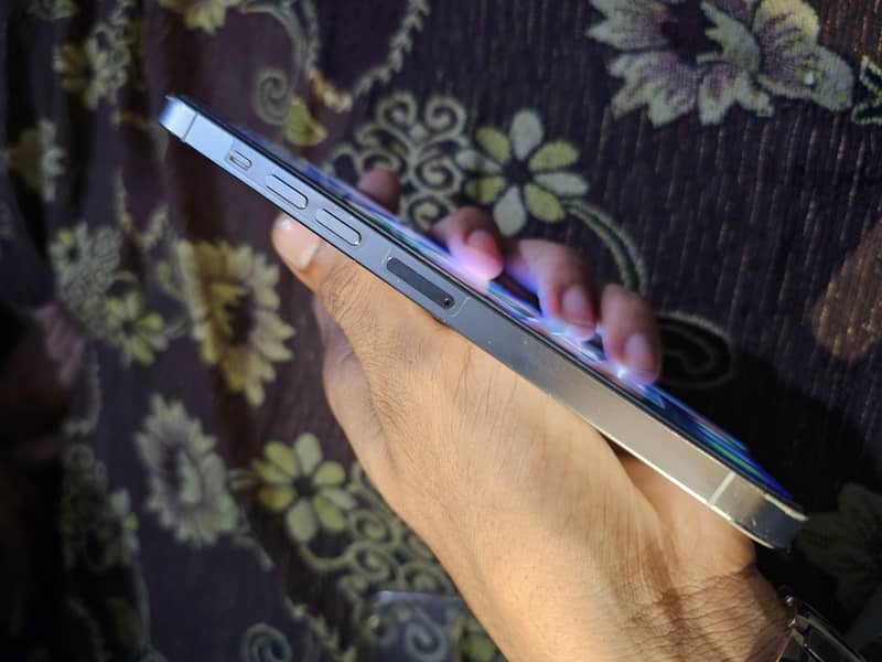Apple iPhone 13 Pro Max 3
